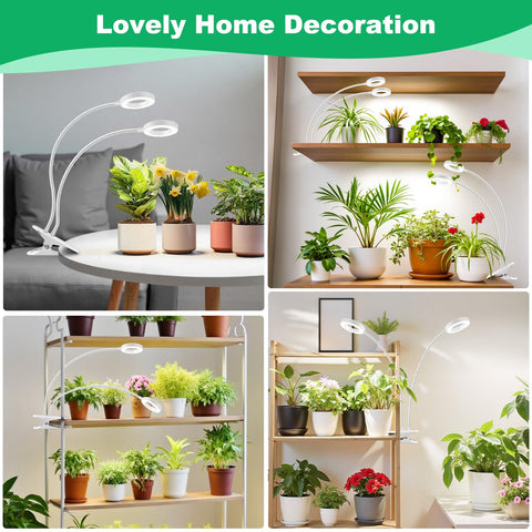 Wiaxulay Grow Light provides five brightness levels for adjustable intensity.