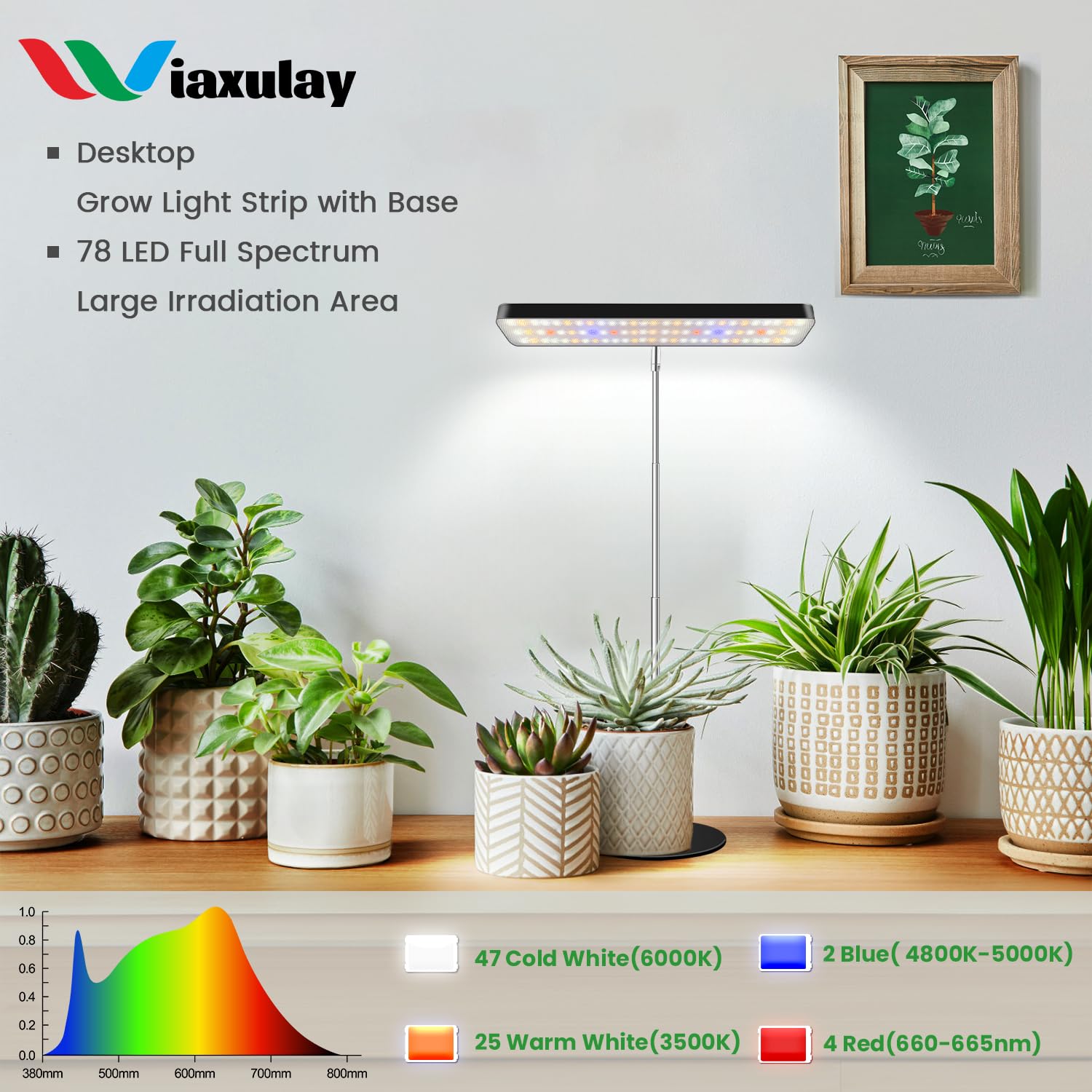 Wiaxulay grow light with a dustproof PC cover protects the fixture.