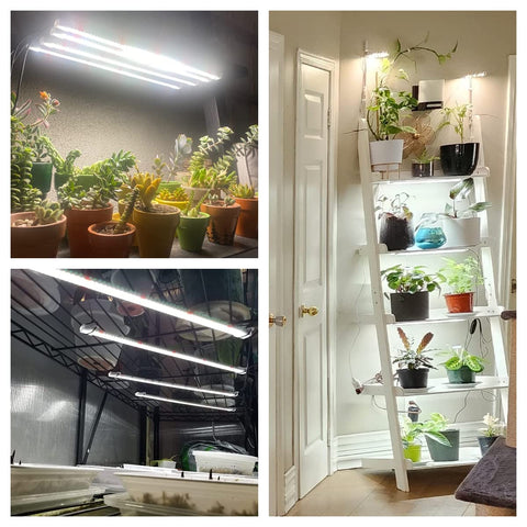 Wiaxulay LED timer ensures consistent daily light cycles for seedlings.