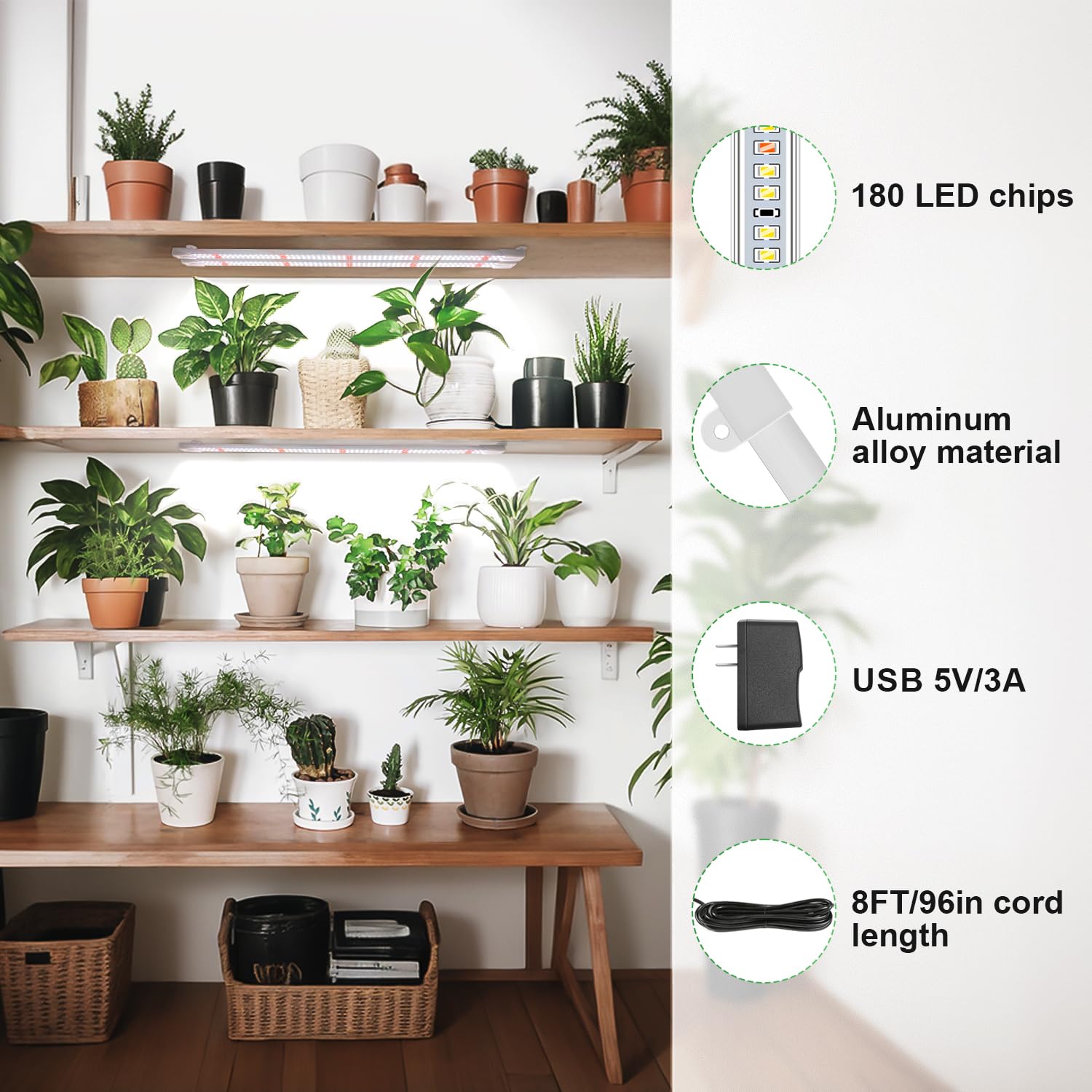 Wiaxulay grow light strip timer 6/12/16 hours for schedules.