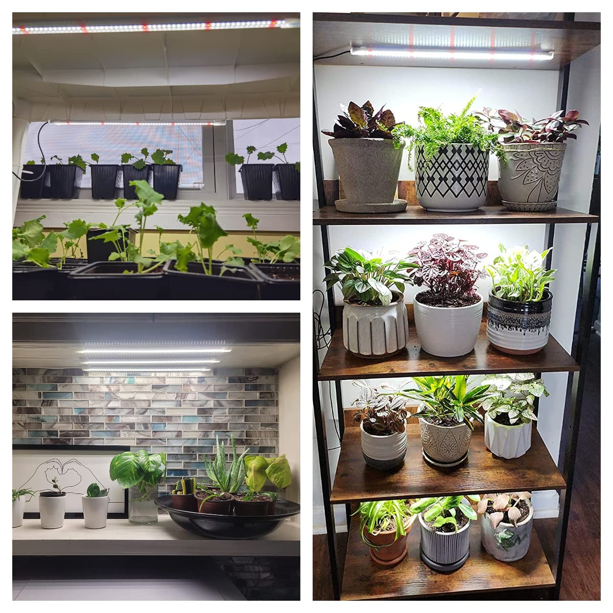 Wiaxulay grow light strips with timer function for automatic daily cycles.