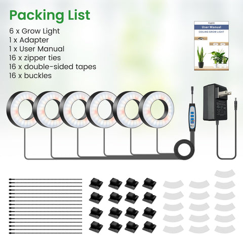 Wiaxulay setup supports hydroponics and succulents under halo light
