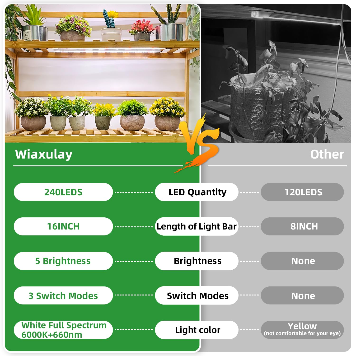 Wiaxulay ideal for hydroponics, succulents, and greens in compact setups.