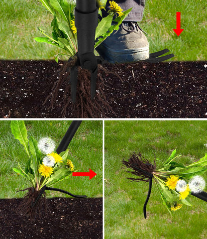 WICING weed puller in garden bed use for efficient weeding