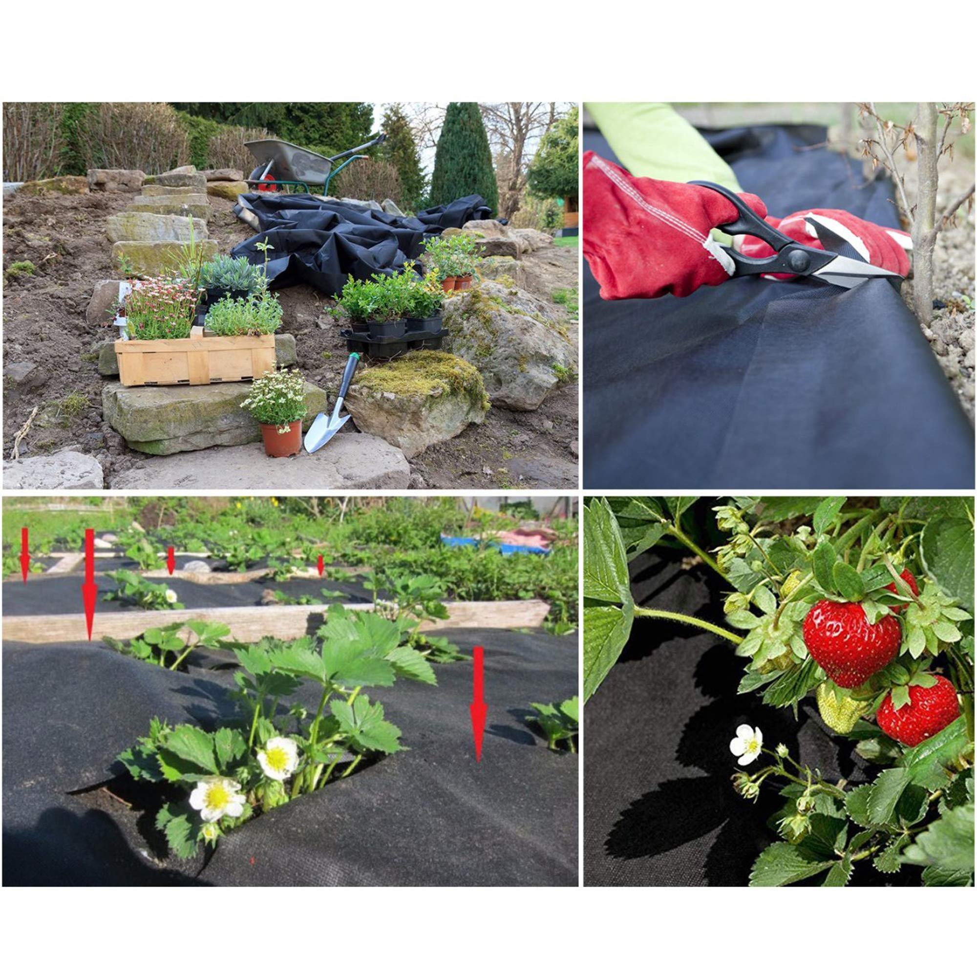 Wideskall landscape ground cover spread over 50 sq ft for tidy outdoor spaces.