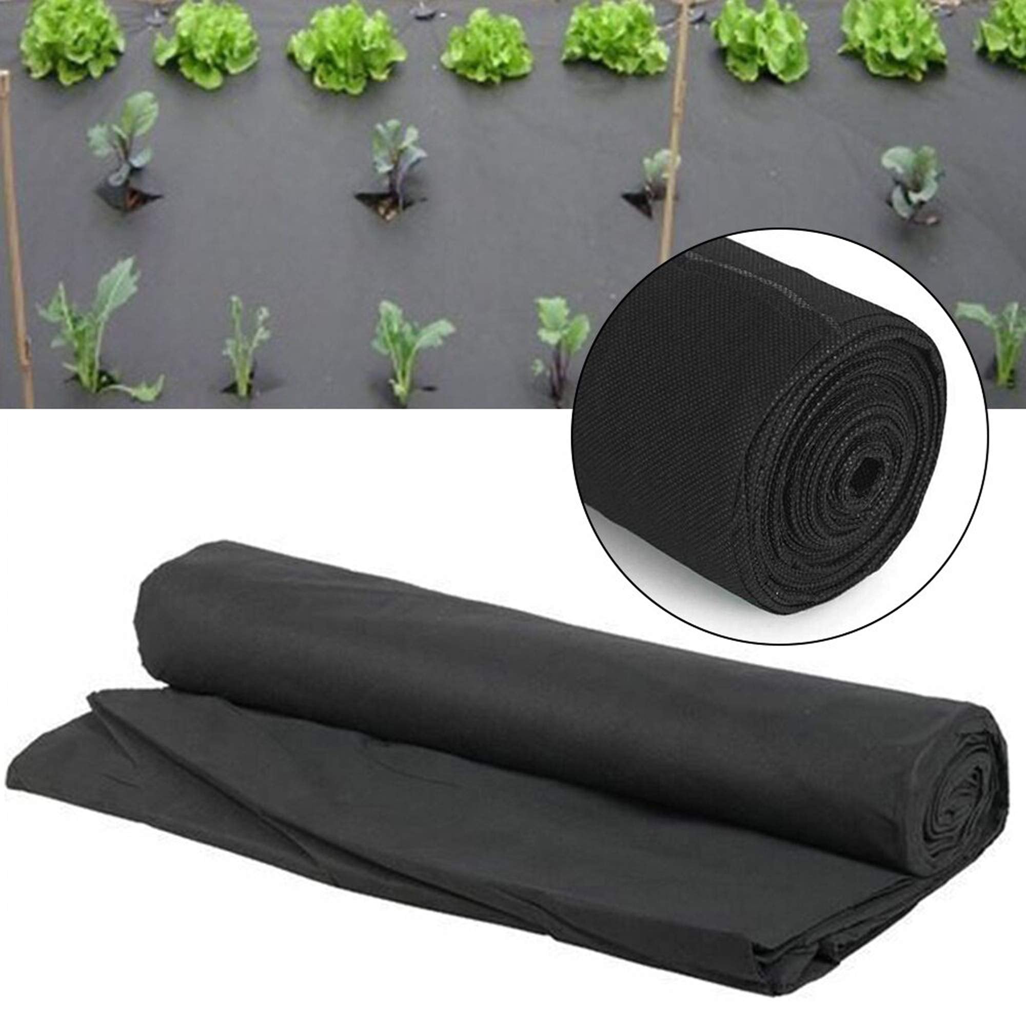 Wideskall plant cover along patio edge reduces erosion and keeps surfaces cleaner.
