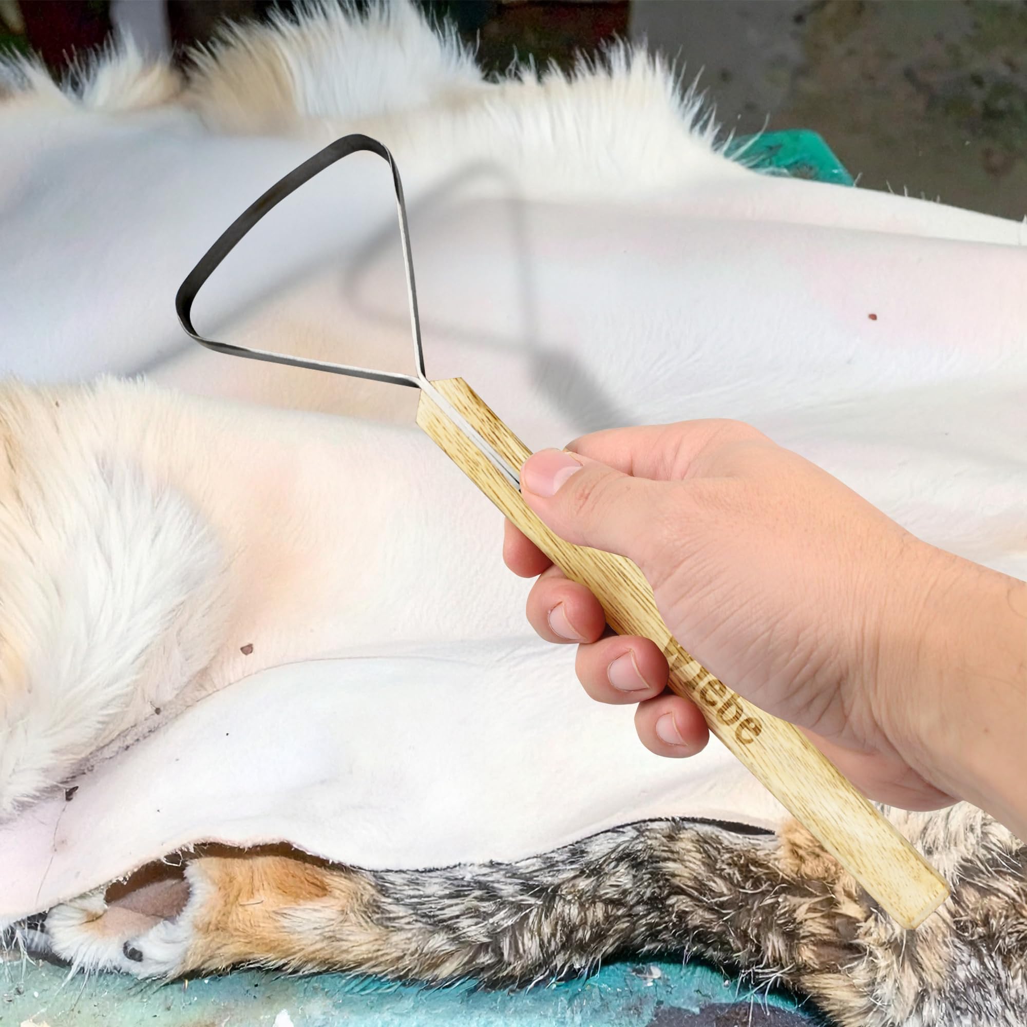 Wiebe Pelt Scraper square edge in action removes fat and tissue efficiently.