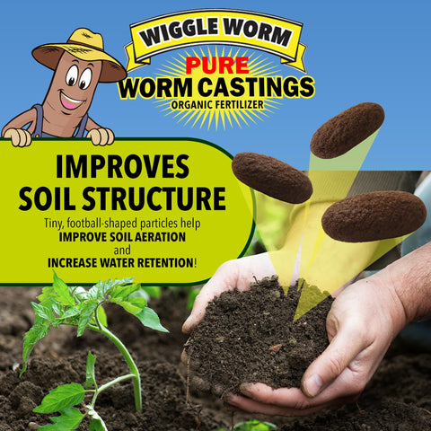 Wiggle Worm root zone application near plant roots to boost nutrient uptake.