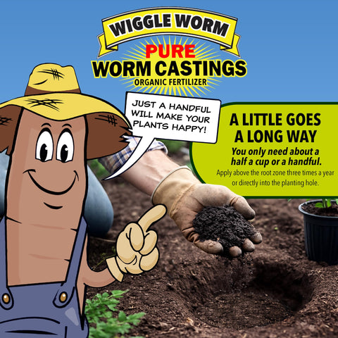 Wiggle Worm soil aeration detail demonstrating improved drainage and air flow.
