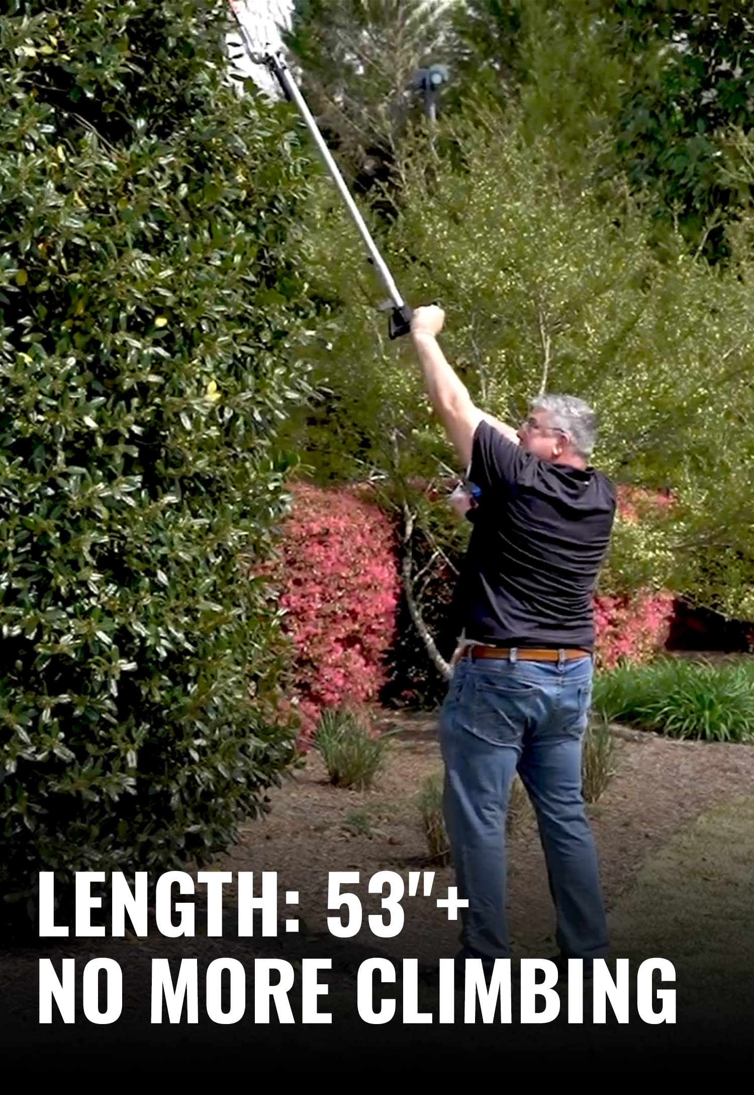 Wild Badger Power Sunseeker 3/4-inch cutting capacity tackles varied hedge sizes.