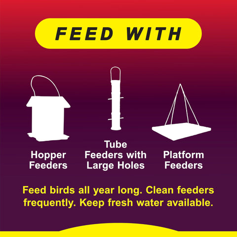 Wild Delight advanced formula deters squirrels while inviting colorful birds