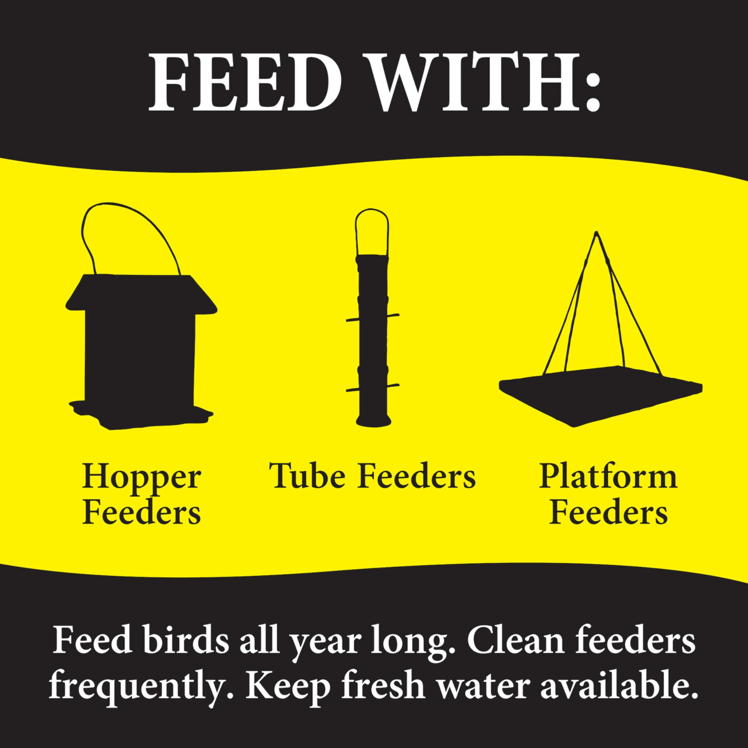 Berry and insect blend supporting diverse backyard birds at feeders.
