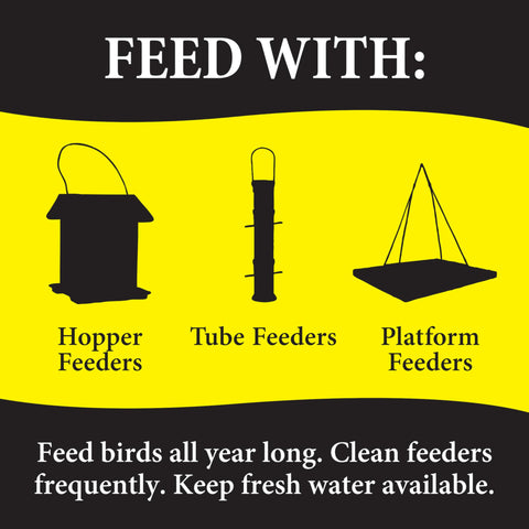 Berry and insect blend supporting diverse backyard birds at feeders.
