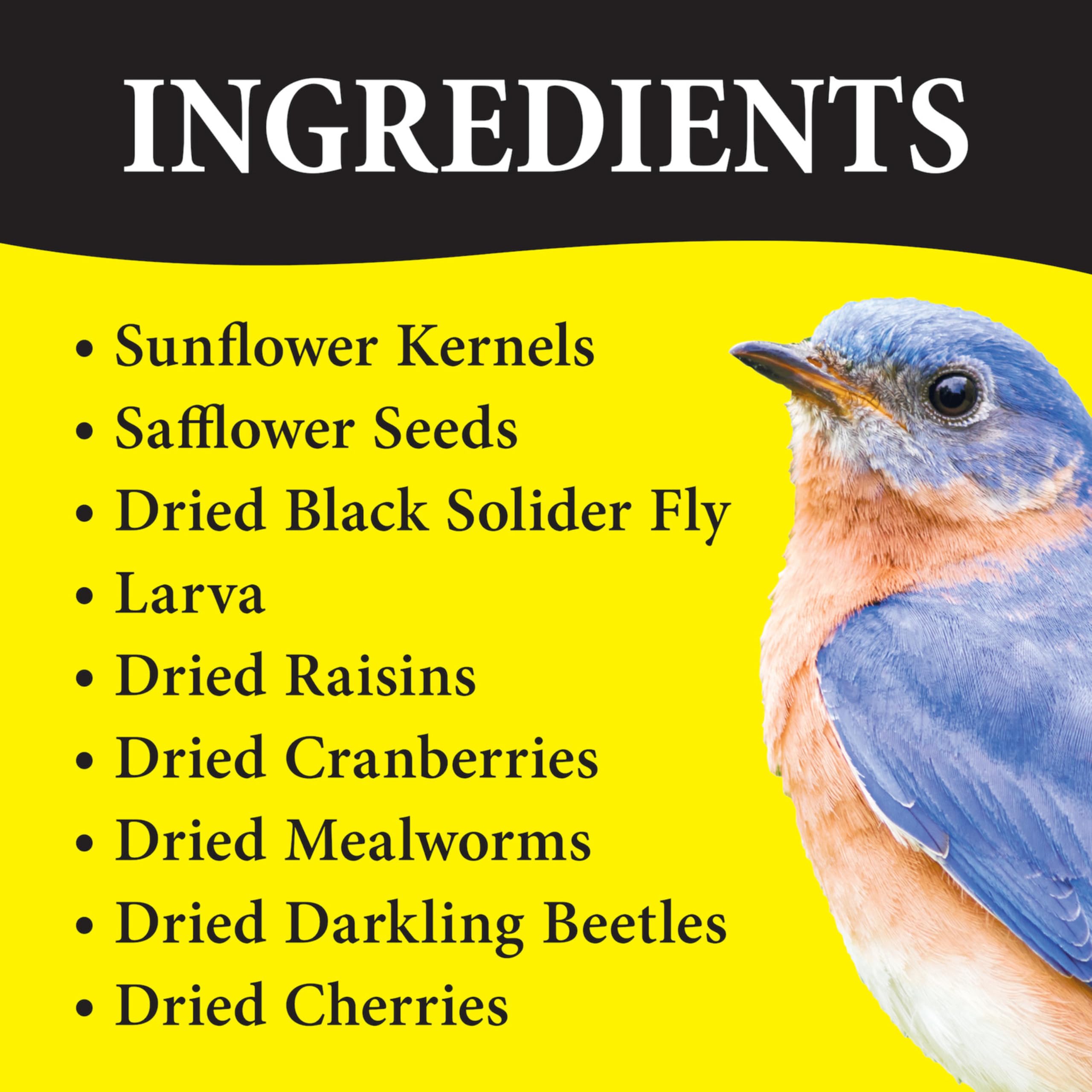 Bluebirds and grosbeaks visiting a feeder with Wild Delight mix.