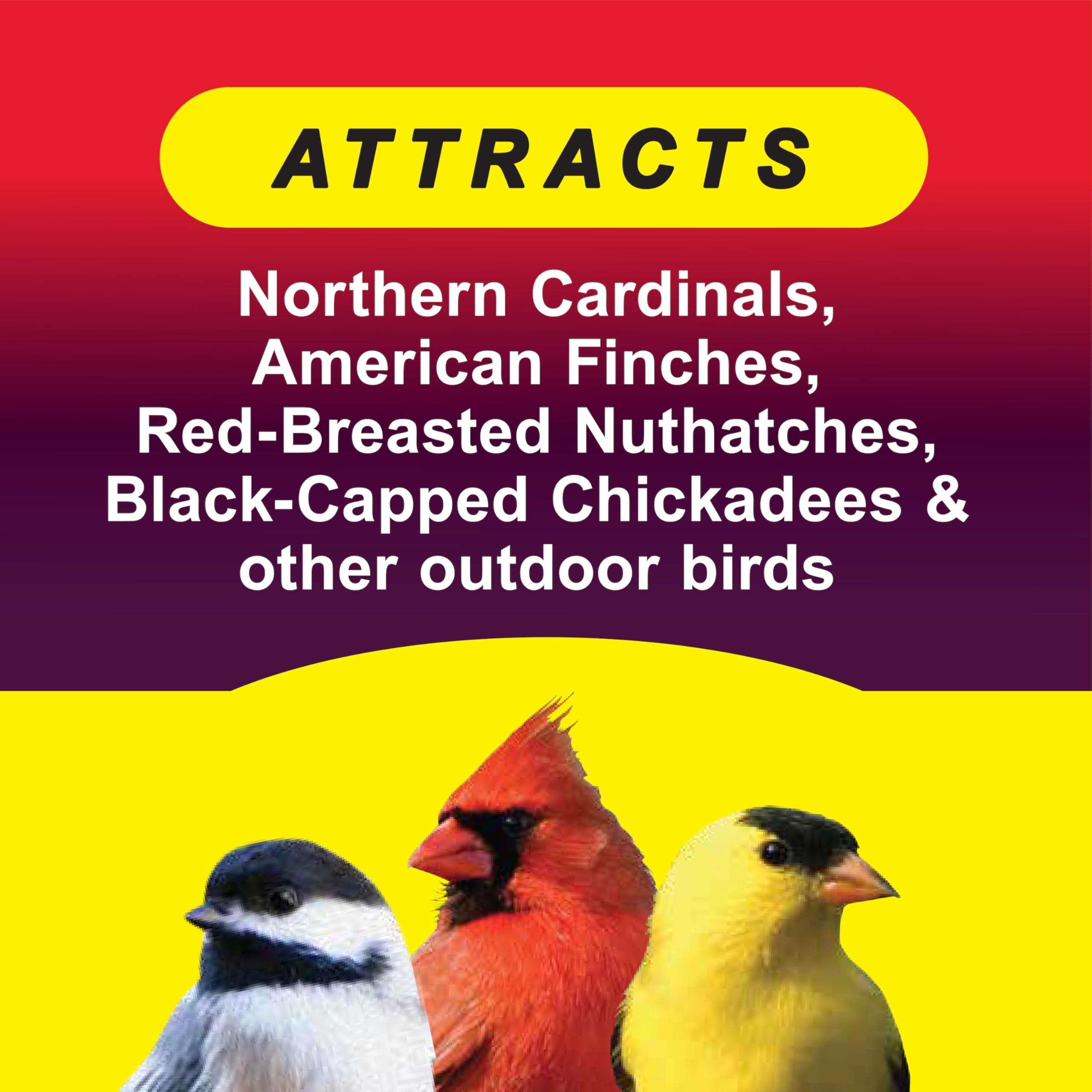 Wild Delight outdoor bird seed ready for backyard feeders and birds