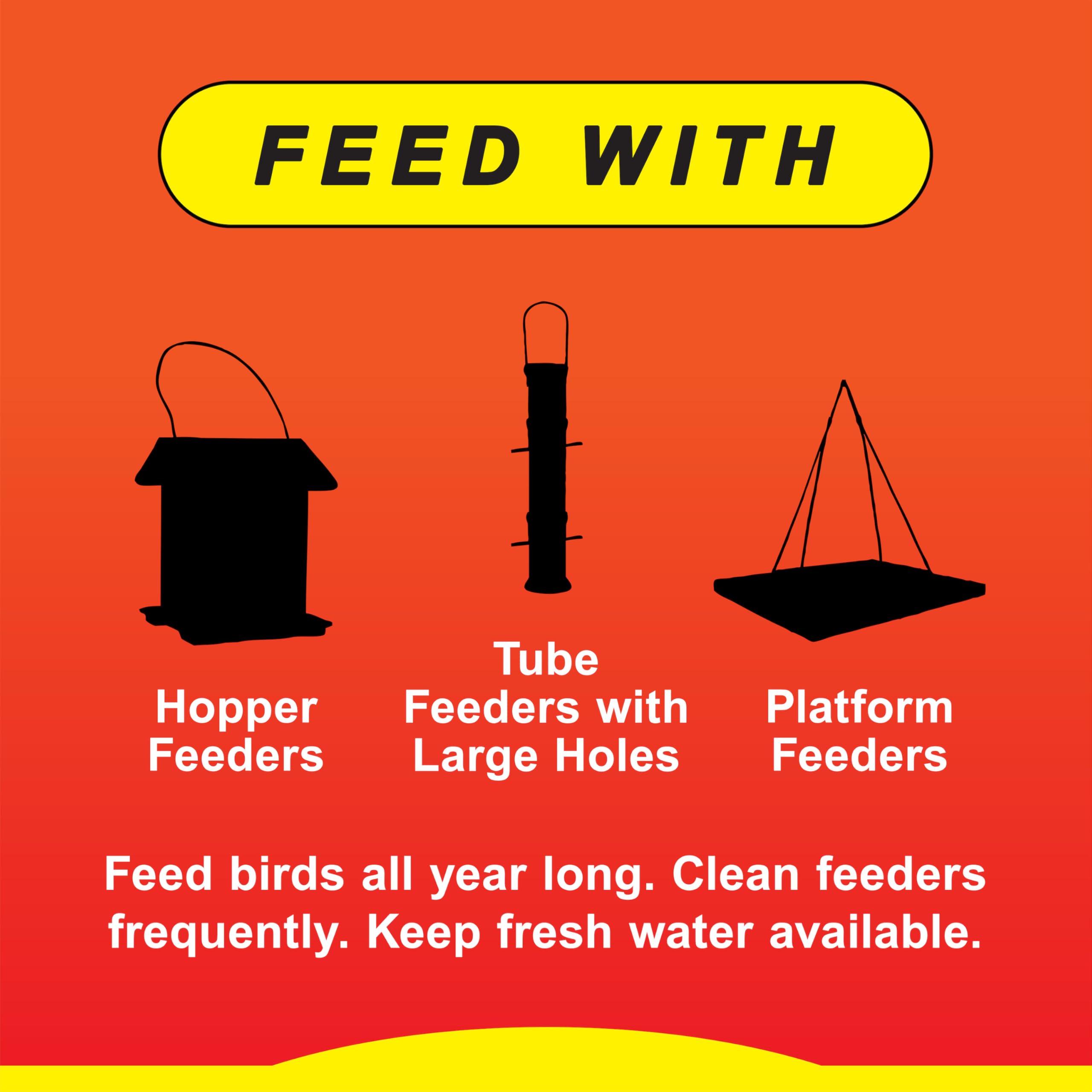 Birds enjoying Wild Delight Sizzle N' Heat at an outdoor feeder.