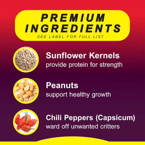 Wild Delight premium ingredients for clean, nutritious bird food