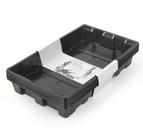Wild Green Fingers seed-starting trays without holes keep germination organized on a sunny windowsill.
