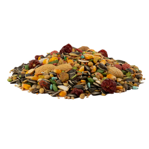 Wild Harvest Advanced Nutrition Parrot Foraging Blend invites discovery during mealtime