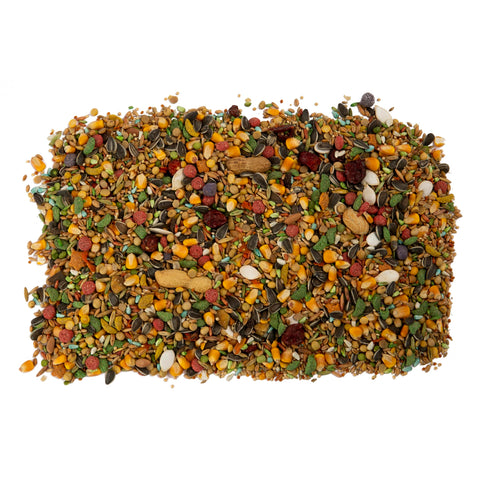 Wild Harvest Advanced Nutrition Parrot Shiny Feathers illustrates vibrant plumage potential
