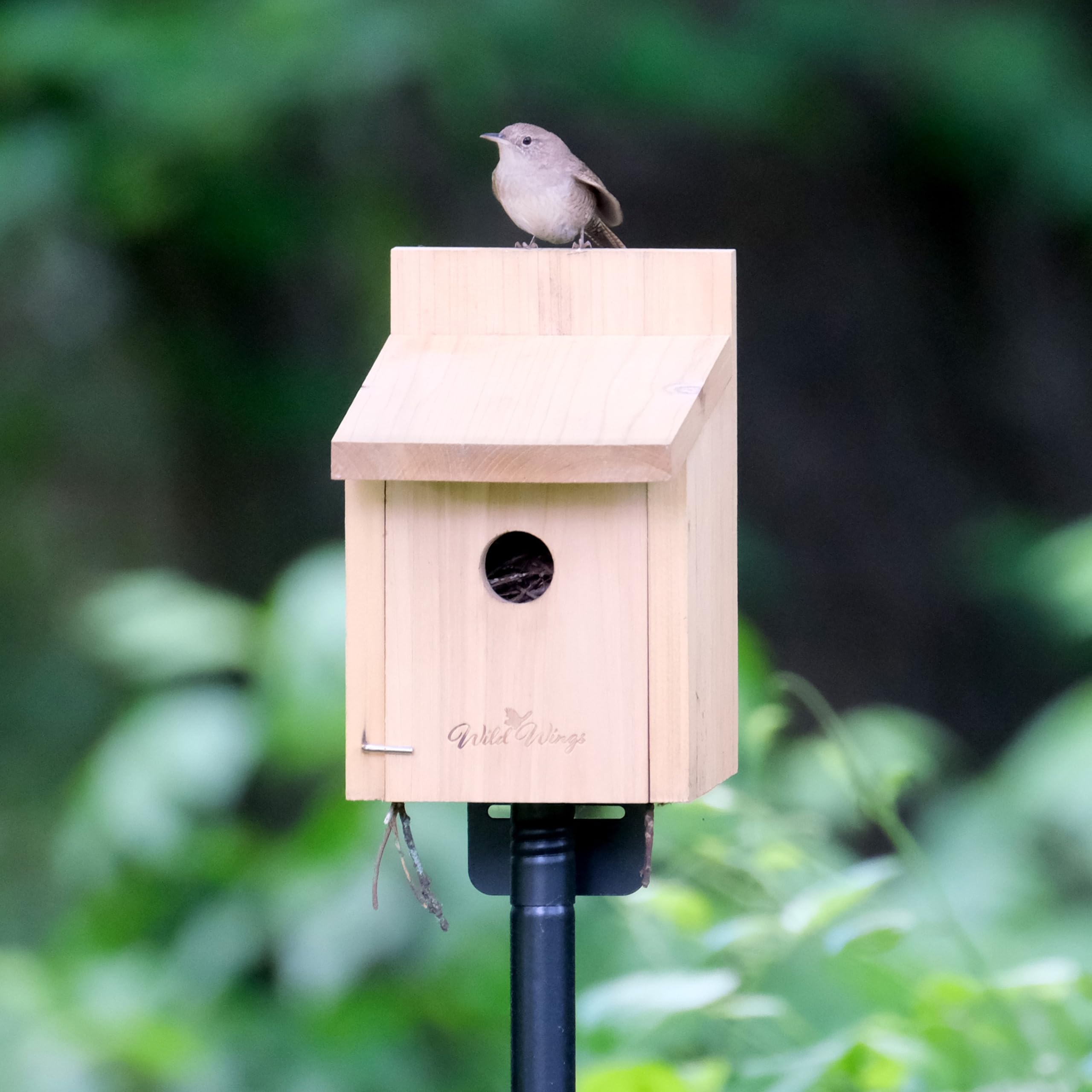 Wild Wings Nature's Way Cedar Box Wren House brown exterior blends with garden decor