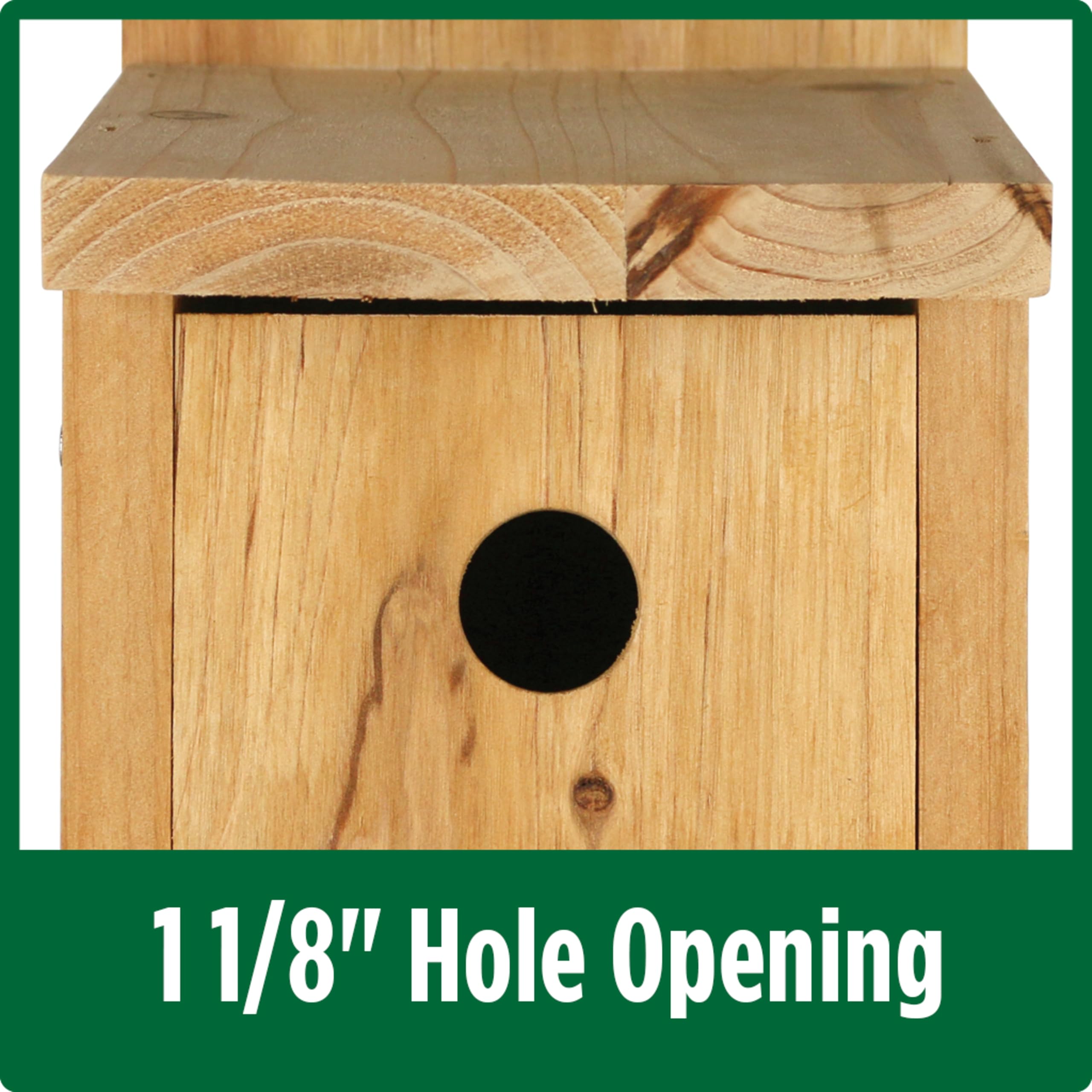 Wild Wings Nature's Way Cedar Box Wren House ventilation openings for air flow