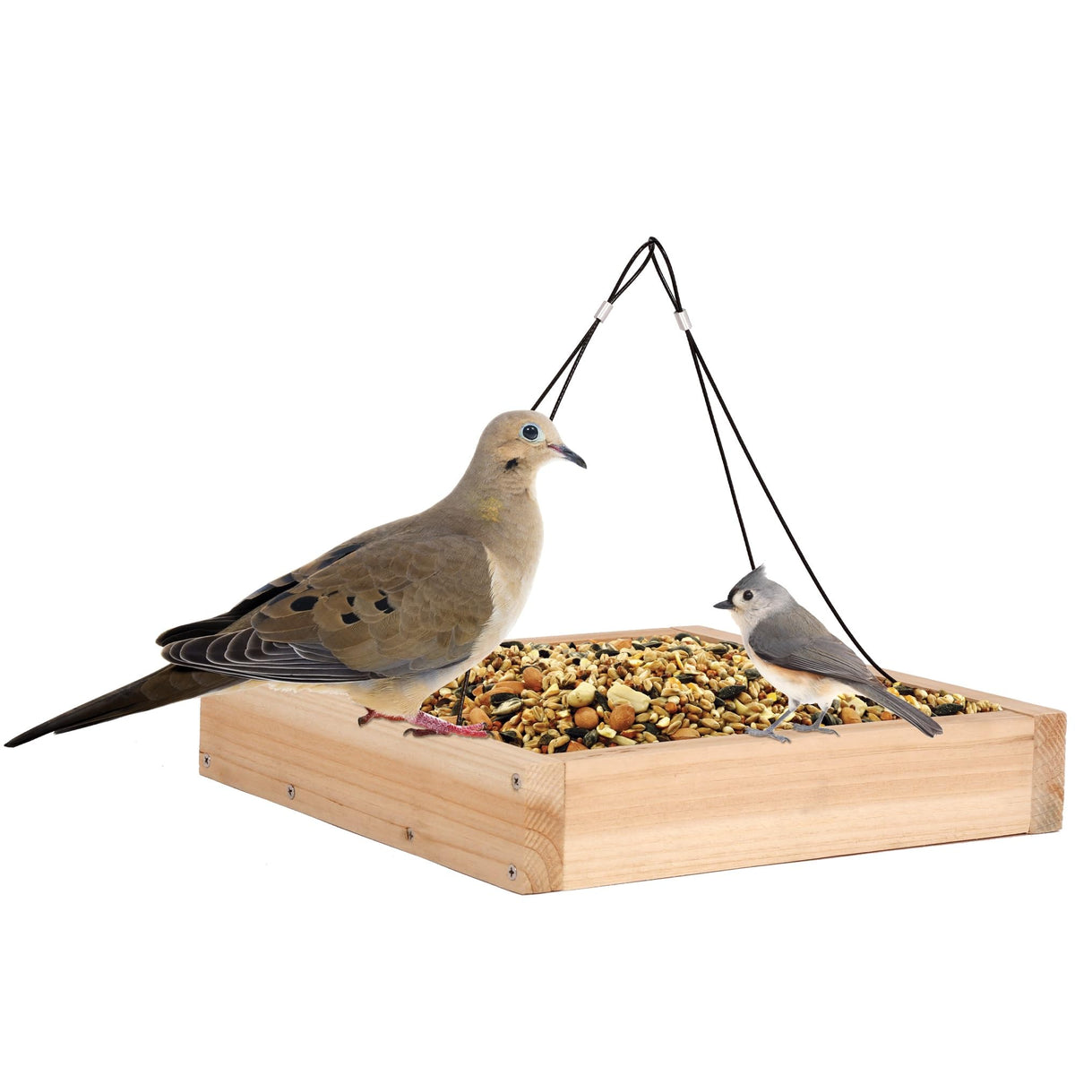 Wild Wings WWCF23 cedar hanging tray feeder in natural wood for backyard birds and seed varieties