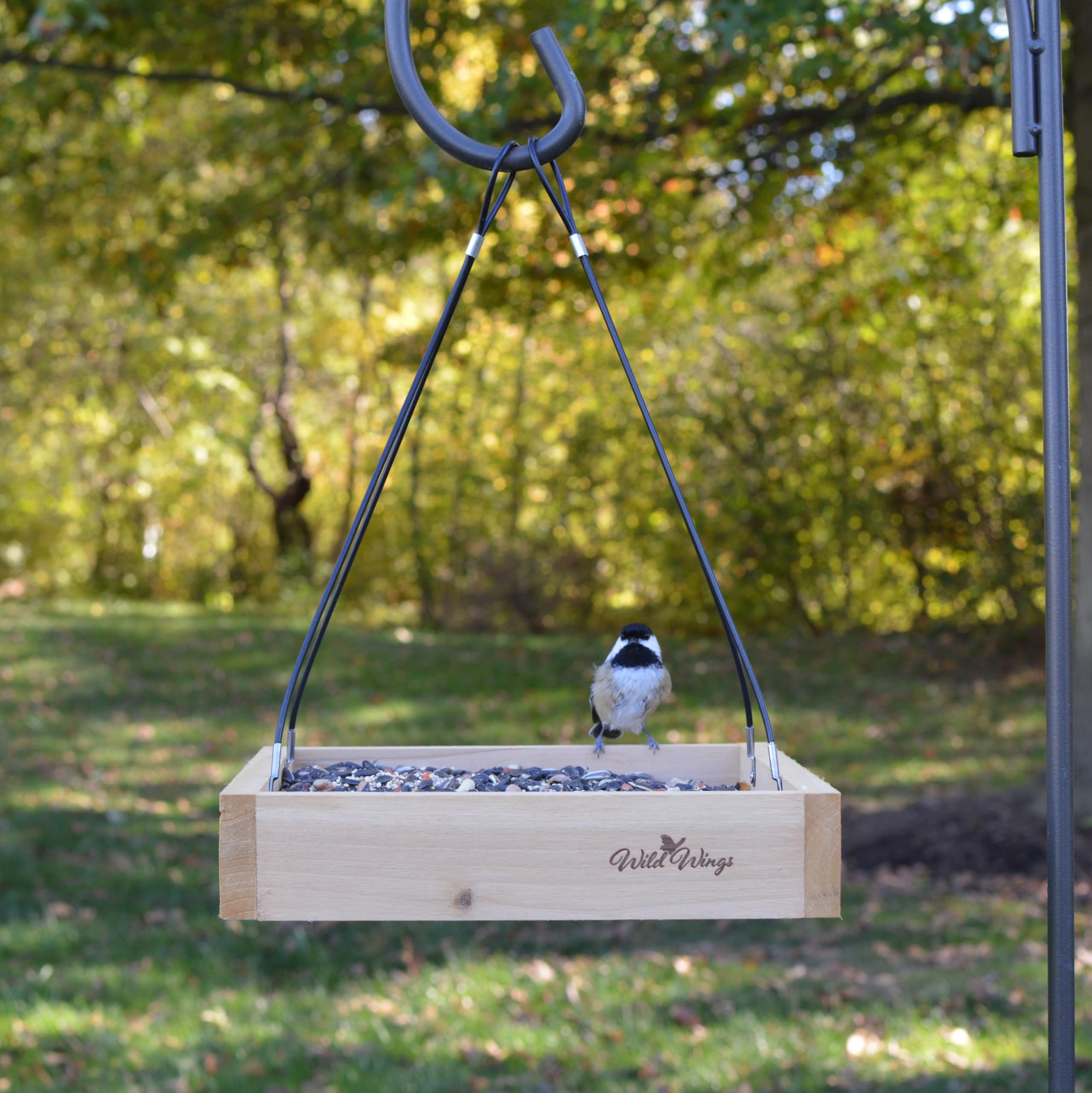 Wild Wings WWCF23 hanging cable design provides secure installation and decorative appeal