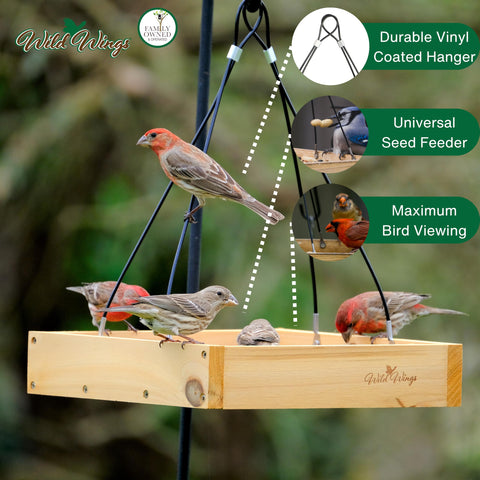 Wild Wings WWCF23 perforated seed tray with drainage keeps seed fresh longer