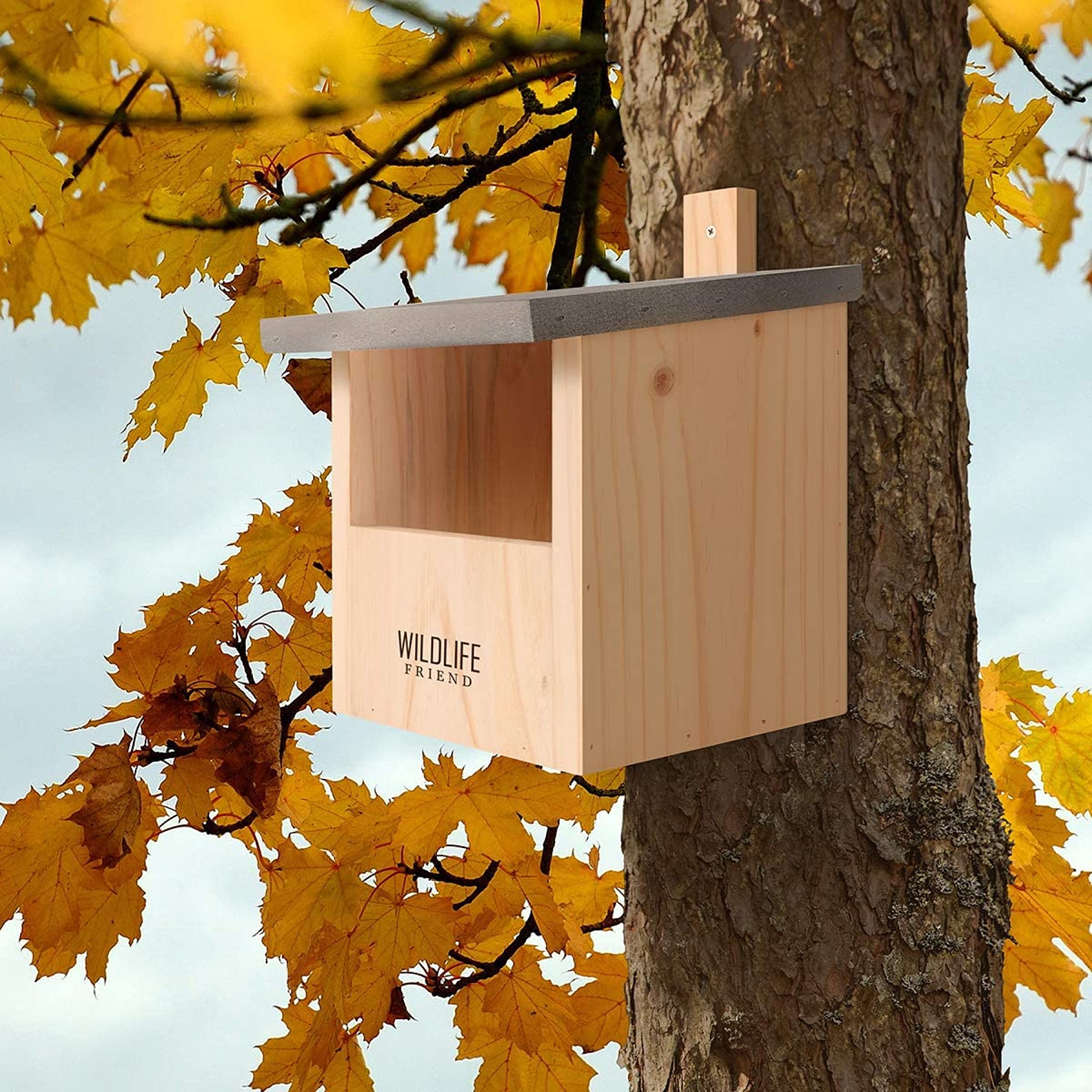 Wildlife Friend weatherproof pine birdhouse blends with garden décor while safeguarding occupants.
