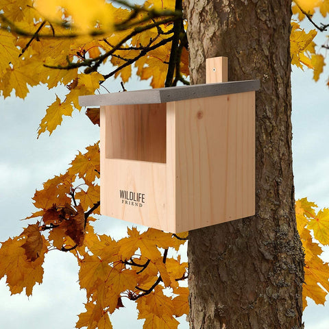 Wildlife Friend weatherproof pine birdhouse blends with garden décor while safeguarding occupants.