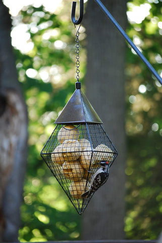 Wildlife Sciences suet balls ready to hang from a feeder, inviting birds