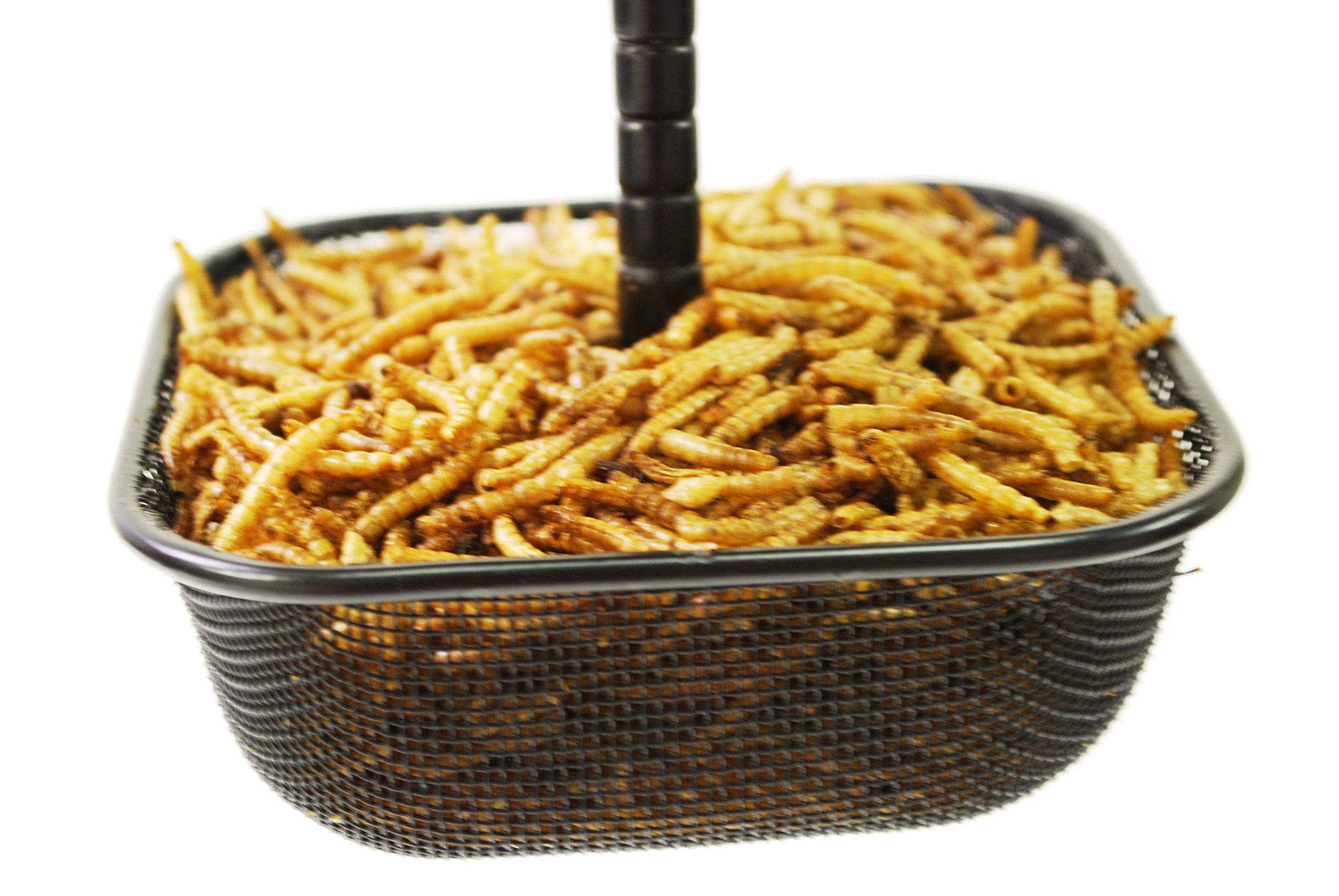Adjustable stainless steel roof on Wildlife Sciences mealworms feeder