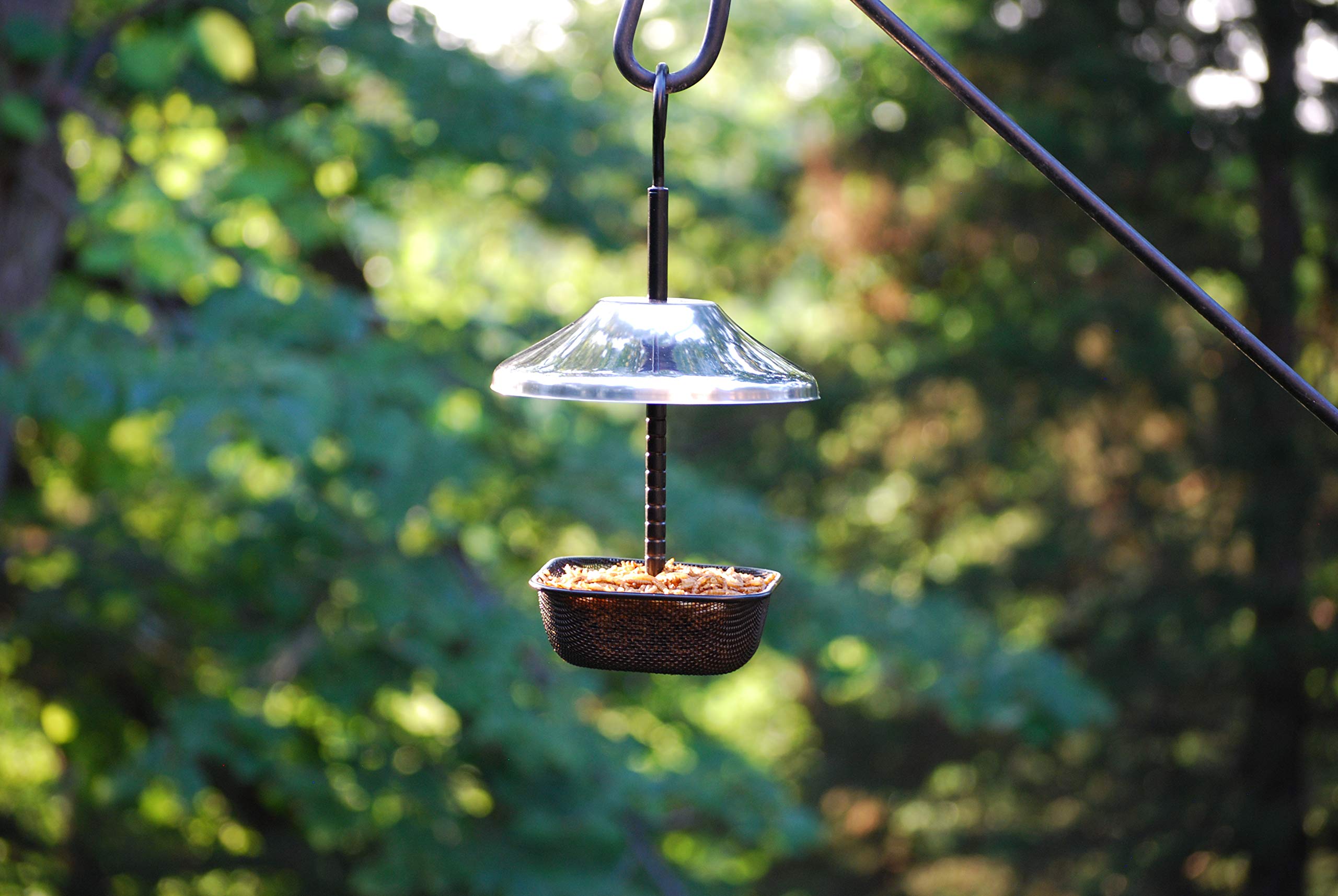 Close-up of the powder-coated mesh bowl in Wildlife Sciences feeder