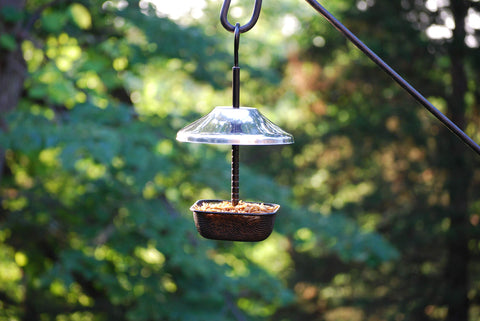 Close-up of the powder-coated mesh bowl in Wildlife Sciences feeder