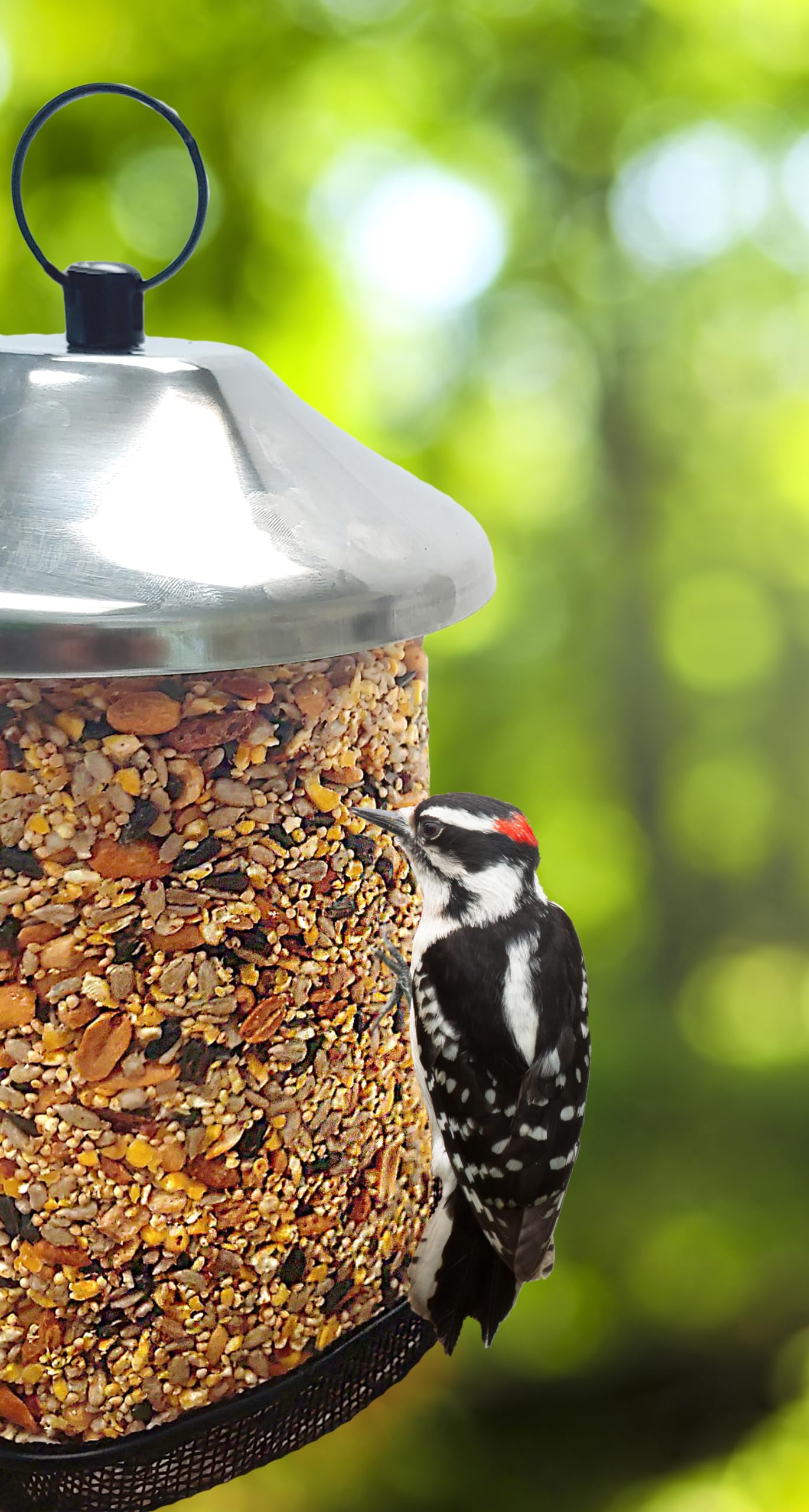 Wildlife Sciences Nuttys Berries Seed Tower assembly view shows nutrient rich mix for diverse birds