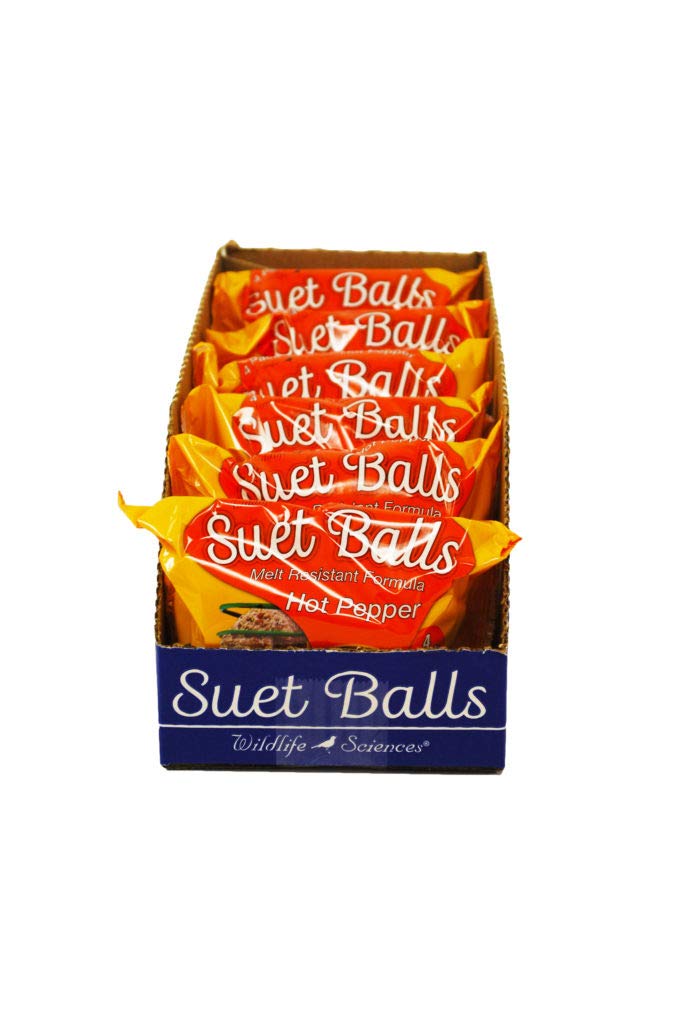 Wildlife Sciences suet balls 24-pack box ready for backyard feeding