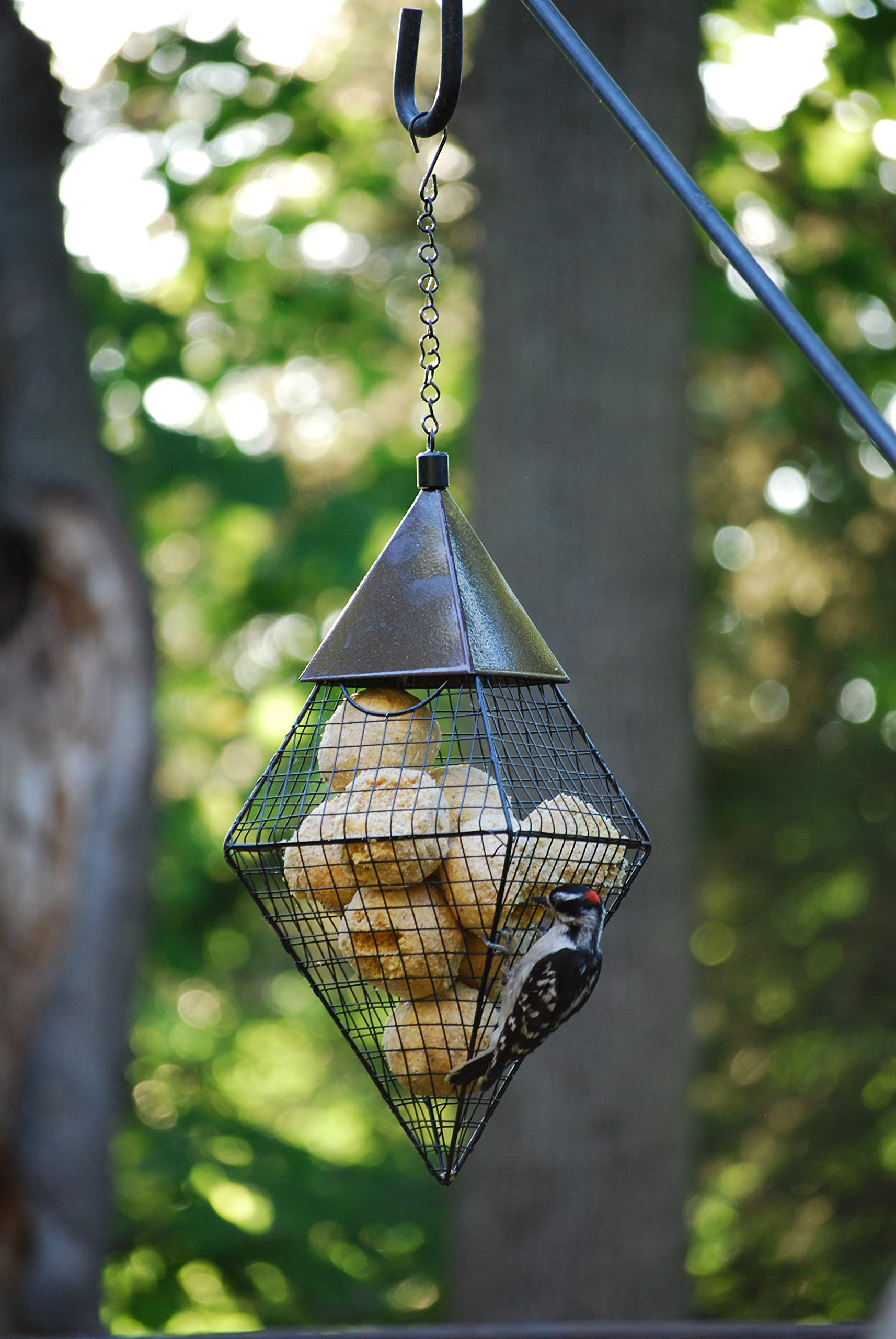 Wildlife Sciences melt-resistant formula suet balls, stays solid in warm weather.