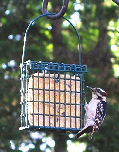 Wildlife Sciences Suet Cake Jumbo Made in USA stands for quality.