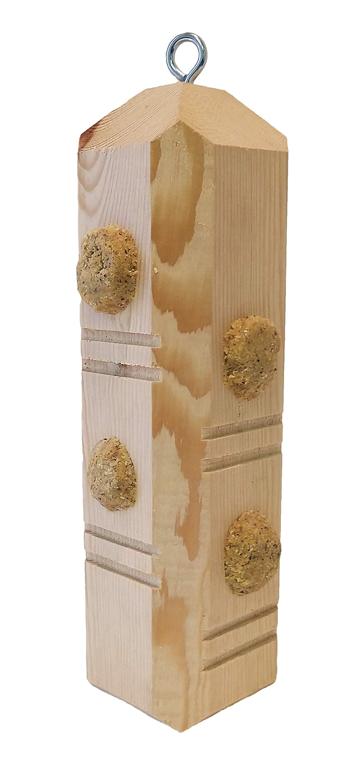 Wildlife Sciences Suet Plugs feeding scene with active backyard birds