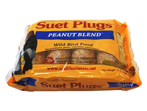 Wildlife Sciences suet plugs perching-birds image highlights diverse species attracted