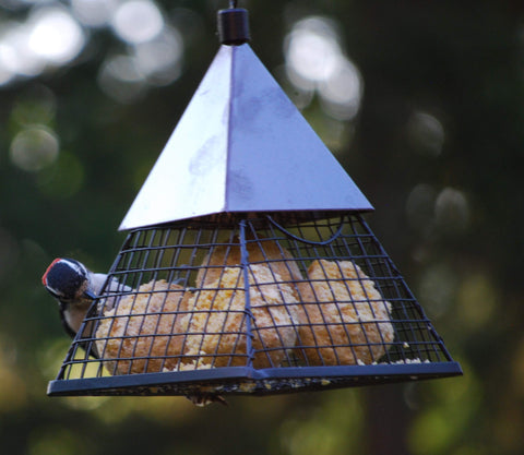 Woodpeckers and songbirds feeding on Wildlife Sciences suet balls at a feeder