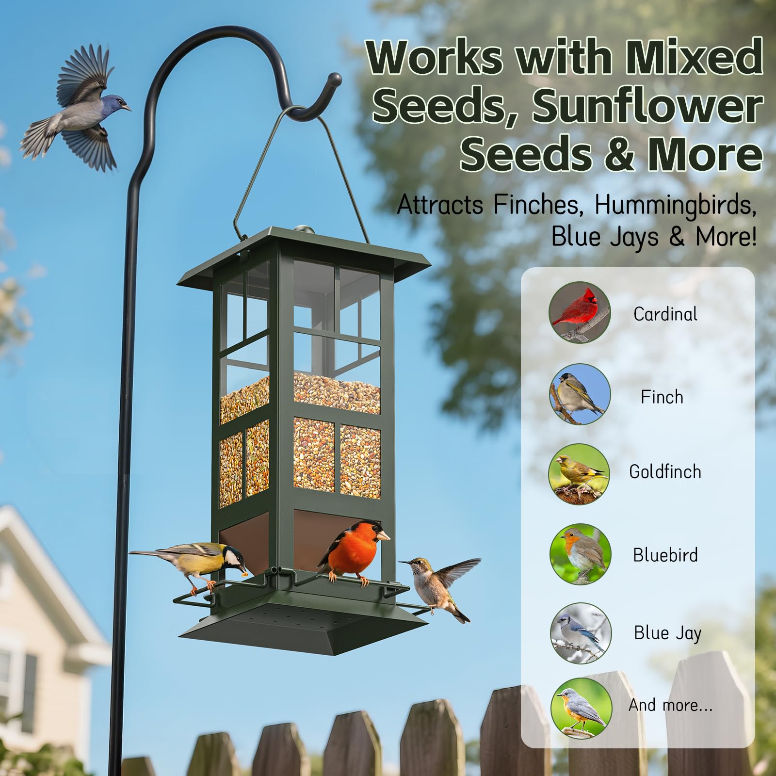 Wildpark 360-view acrylic panels offer clear viewing of visiting birds.