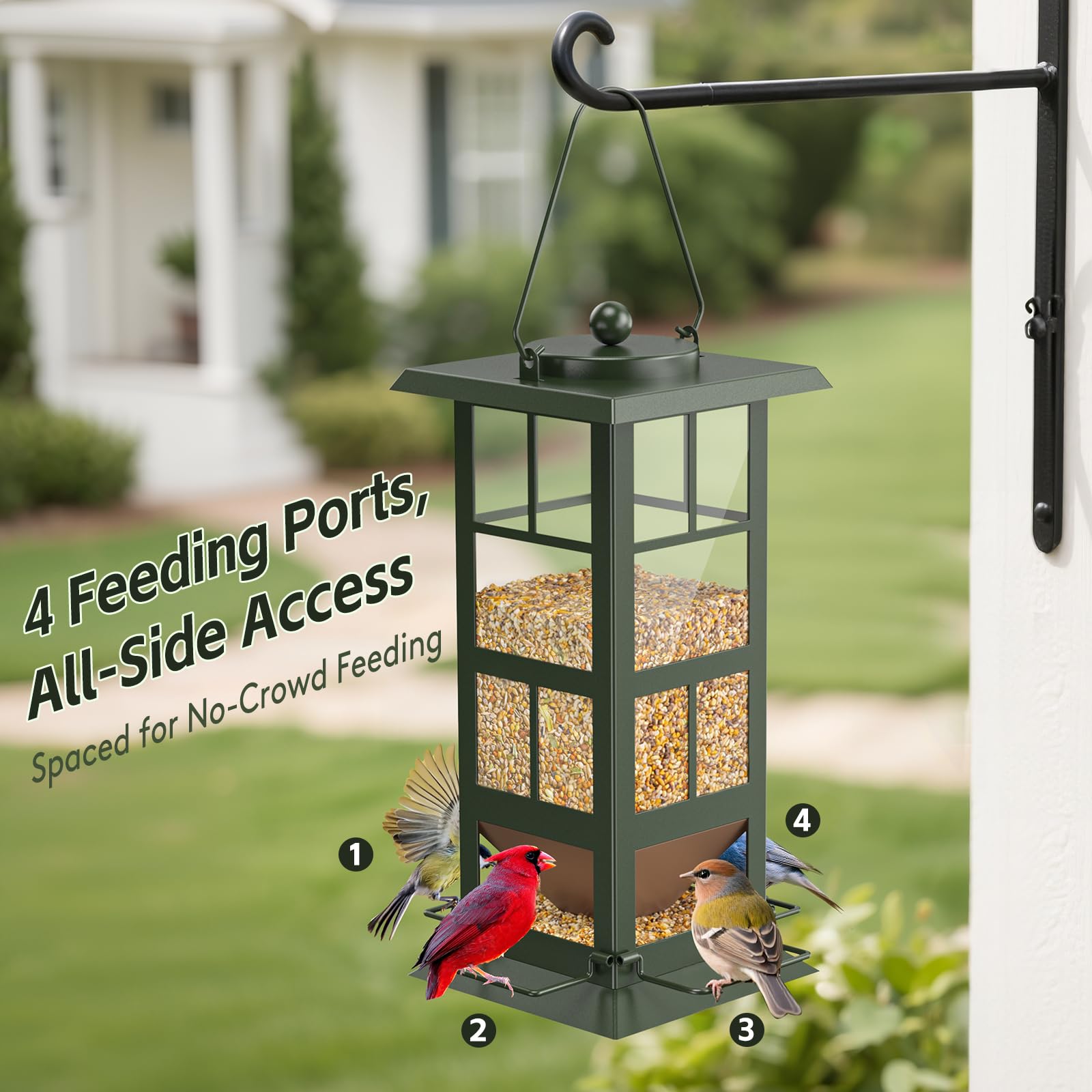 Wildpark 3lb capacity keeps seeds plentiful for busy backyard birdwatching.