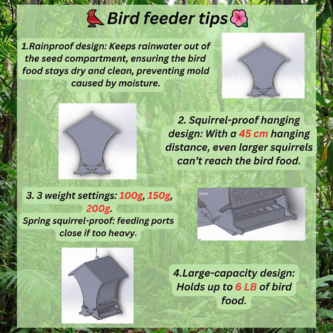 Wildpark Squirrel-Proof Feeder bright colors attract cardinals and chickadees.