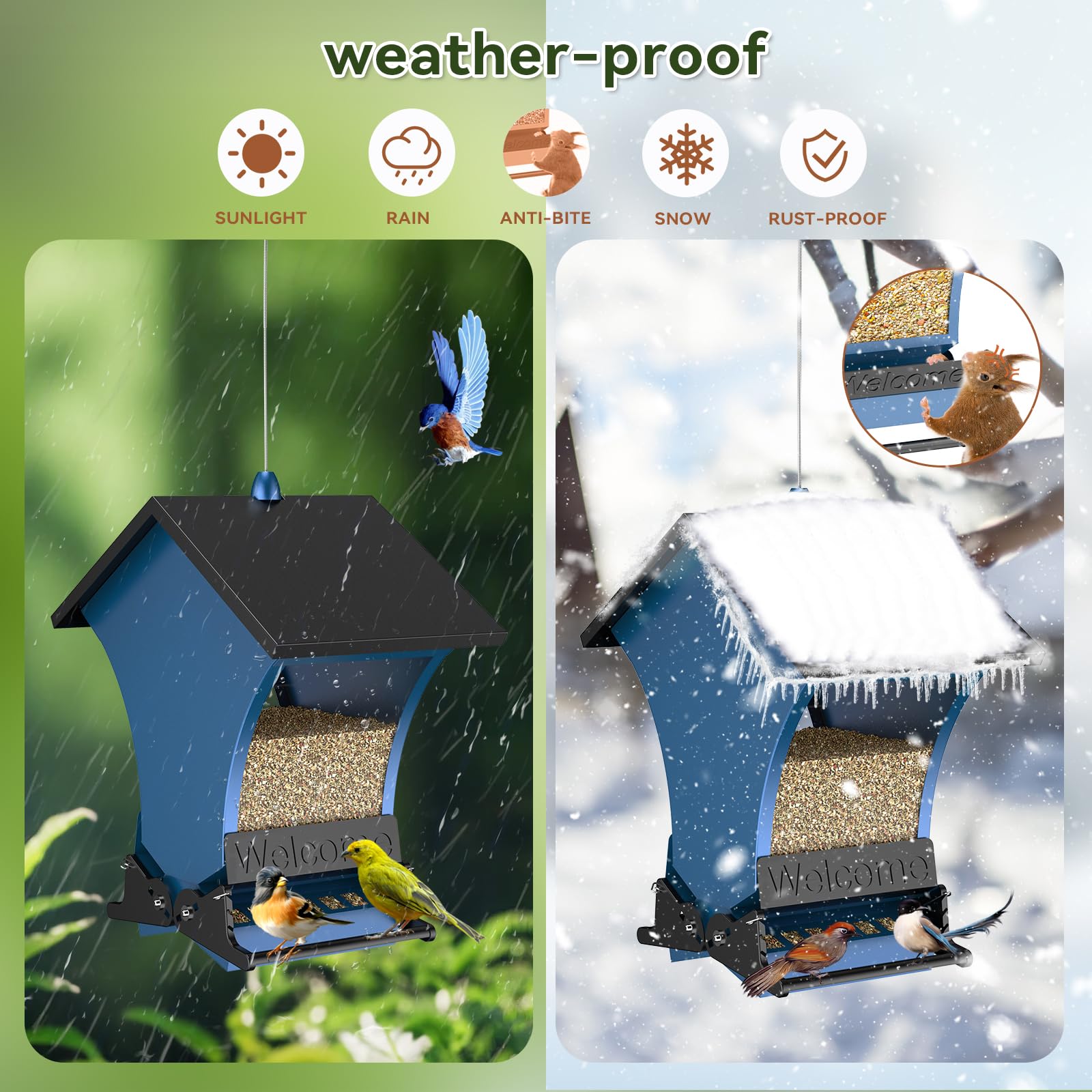 Wildpark Squirrel-Proof Feeder clear container to monitor seed levels at a glance.