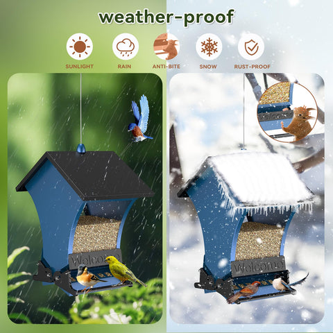 Wildpark Squirrel-Proof Feeder clear container to monitor seed levels at a glance.