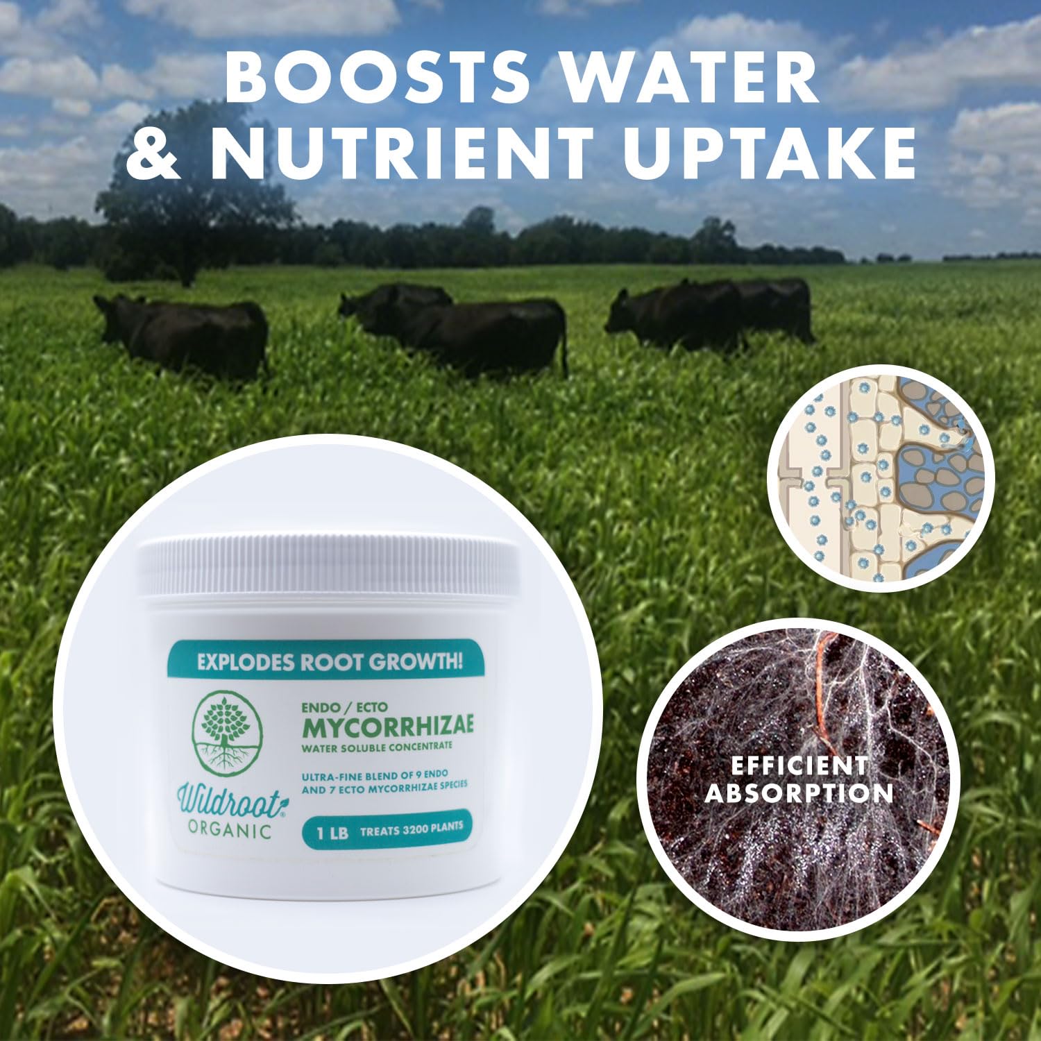 Wildroot Organic healthy roots after application suggest robust plant vitality.