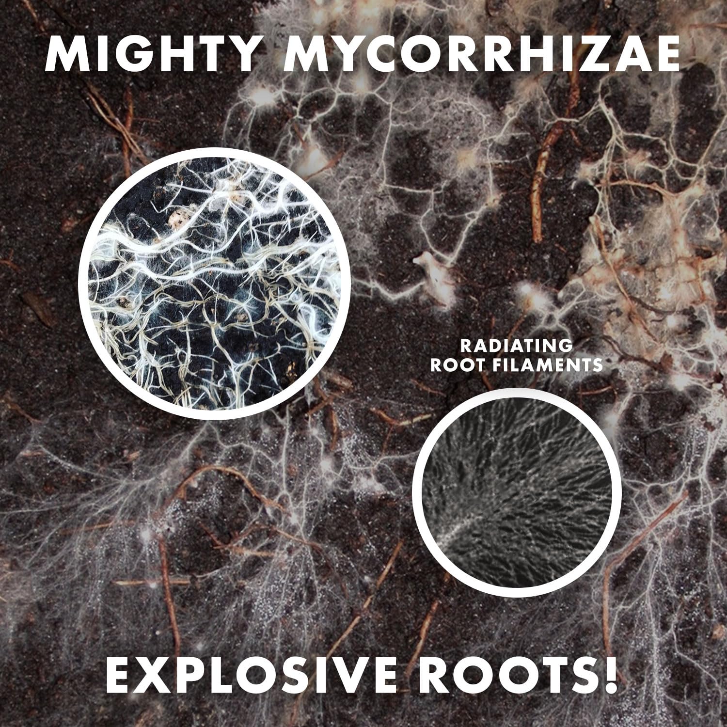 Wildroot Organic mycorrhizae dry powder scoop highlighting easy-to-use application.
