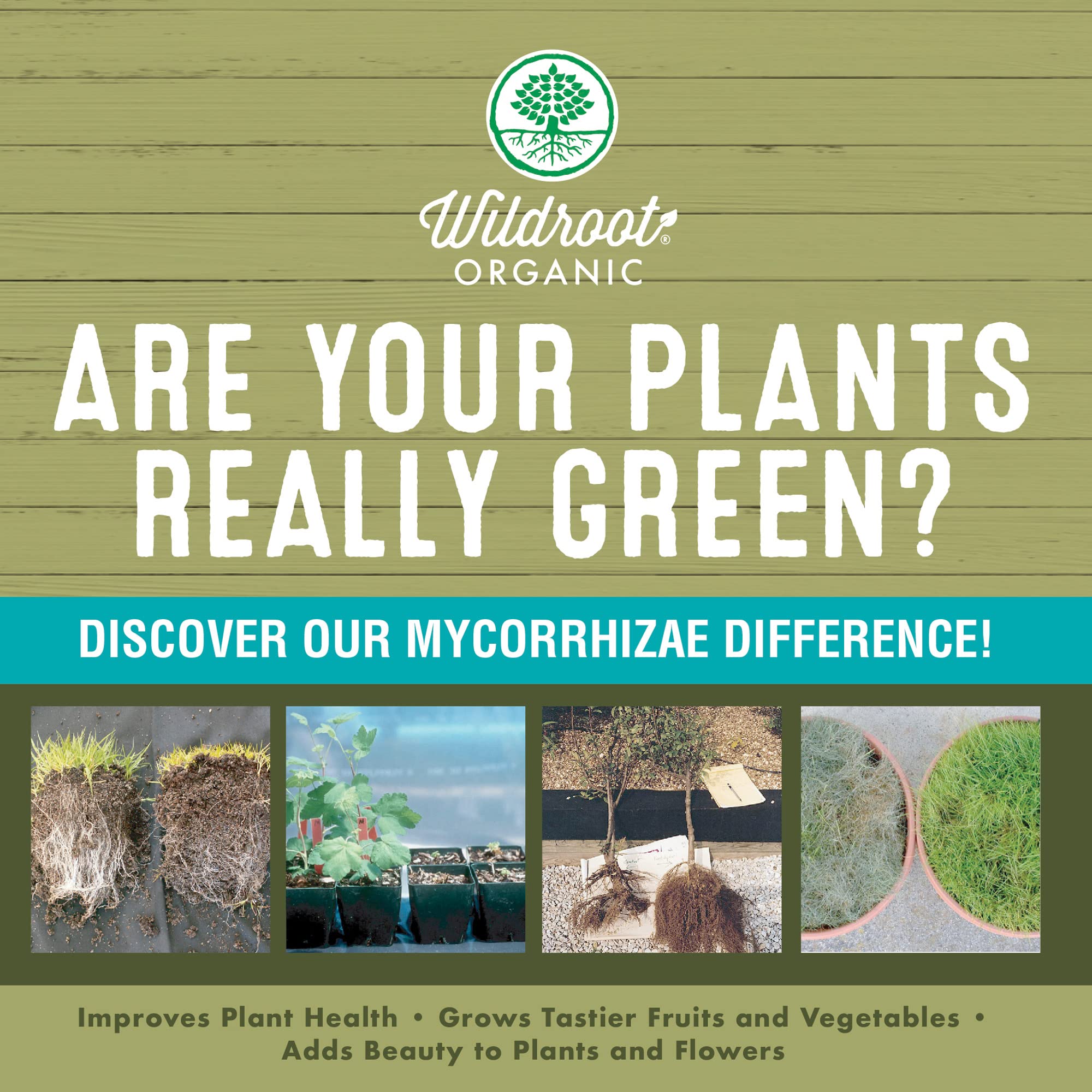 Wildroot Organic mycorrhizae in soil promotes beneficial microbes and nutrient exchange.